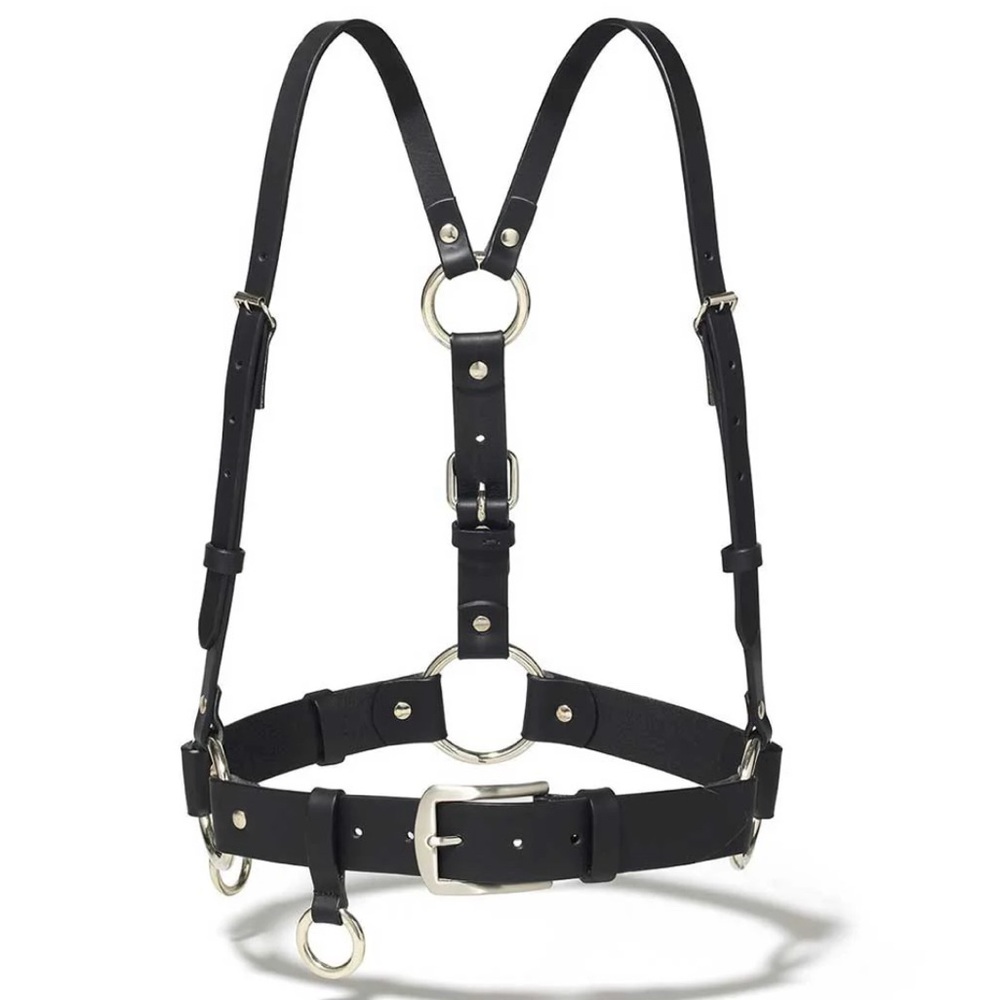 NWT Ardeo Classic Belt Harness in Nickel XS/S